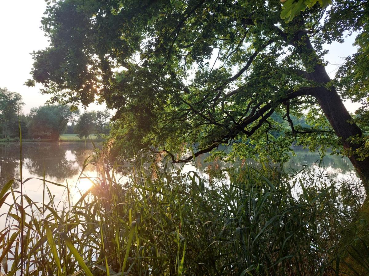 Ferienwohnung Am Buergerteich Bischofswerda Kültér fotó