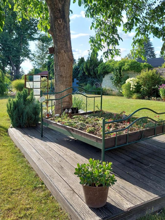 Ferienwohnung Am Buergerteich Bischofswerda Kültér fotó