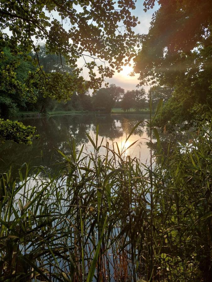 Ferienwohnung Am Buergerteich Bischofswerda Kültér fotó