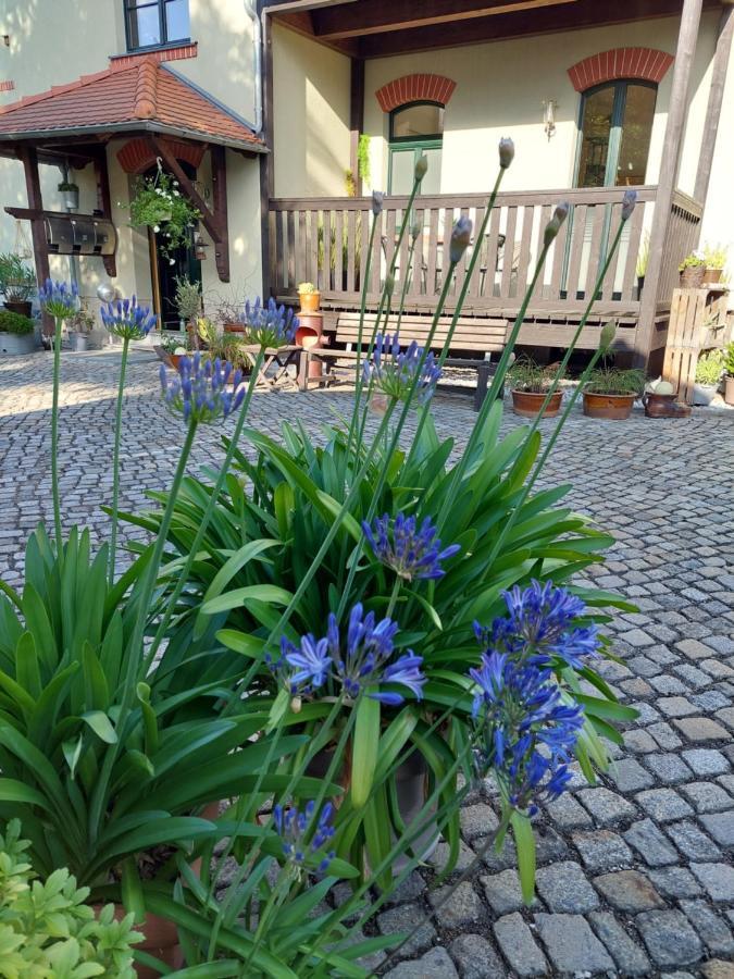 Ferienwohnung Am Buergerteich Bischofswerda Kültér fotó